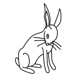 Rabbit XVIII