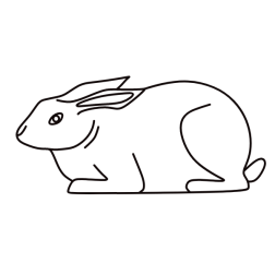 Rabbit XVII