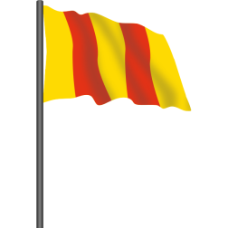 RacingFlag8
