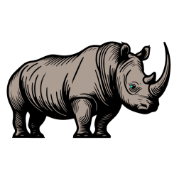 Rhinoceros IV