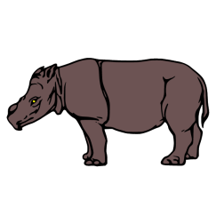 Rhinoceros X
