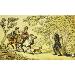 RidingInTheForest