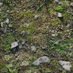 RockyGround