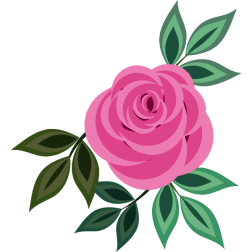 Rose20Pink