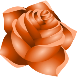 Rose22Peach