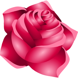 Rose22Red