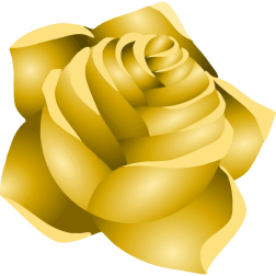 Rose22Yellow