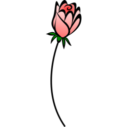 Rose23Pink
