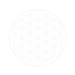 SVG Flower of Light 2016121534