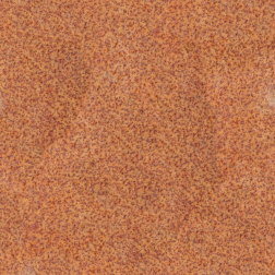 SandPaper