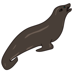 Sea lion III