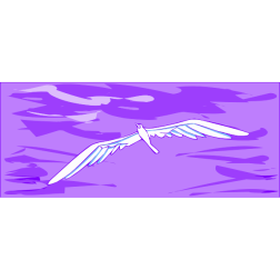 Seagull1