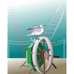 Seagull2