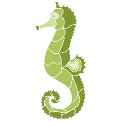 Seahorse4Colour2
