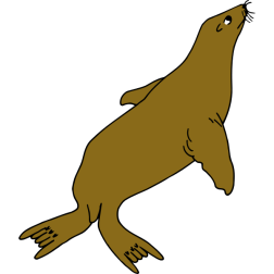 SealColour