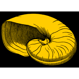 Shell I