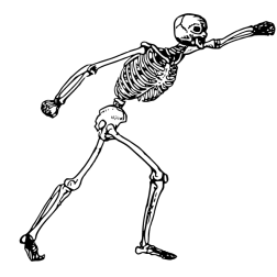 Skeletons VI