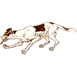 SkinnyHound