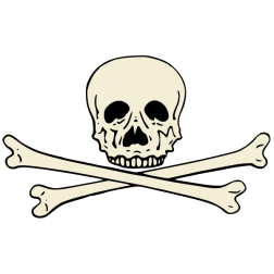 Skull II