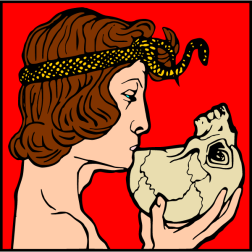 Skull VIII