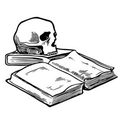 Skull XXII