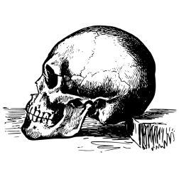 Skull XXI