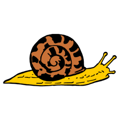 Snail 6