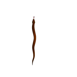 Snake 11