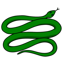 Snake 24