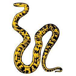 Snake 25