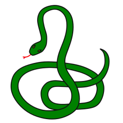 Snake 31