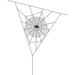 Spider I