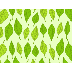 Spring Pattern