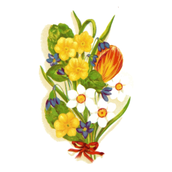 SpringFlowers