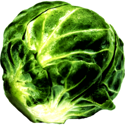Sprout-1624570378