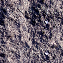 Stone3