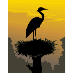 Stork2
