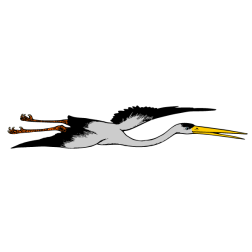 Storks 6