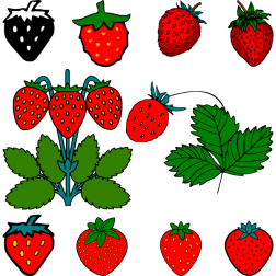 Strawberries I