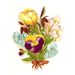 SummerFlowers
