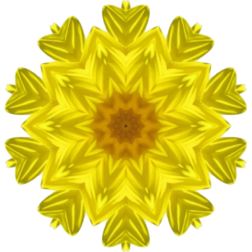 SunflowerKaleidoscope1
