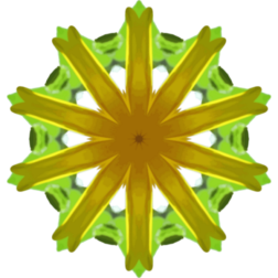 SunflowerKaleidoscope10
