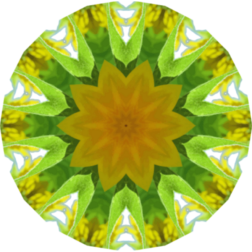 SunflowerKaleidoscope11
