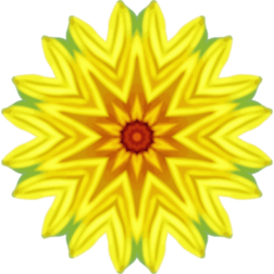 SunflowerKaleidoscope13