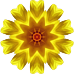 SunflowerKaleidoscope15