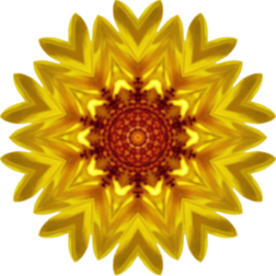 SunflowerKaleidoscope17