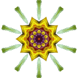 SunflowerKaleidoscope19