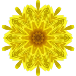 SunflowerKaleidoscope2