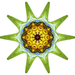 SunflowerKaleidoscope20