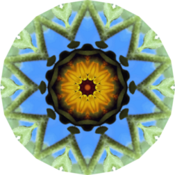 SunflowerKaleidoscope21